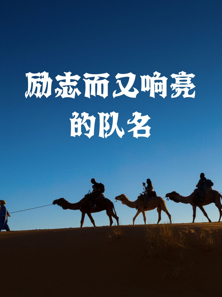 精英球队拼尽全力，为荣誉拼搏不懈